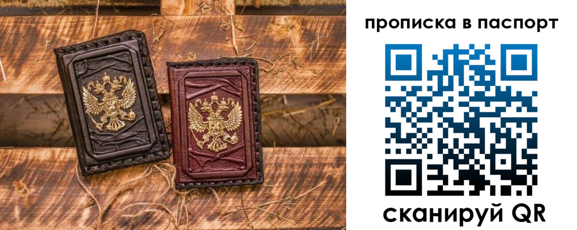 регистрация в Курской области