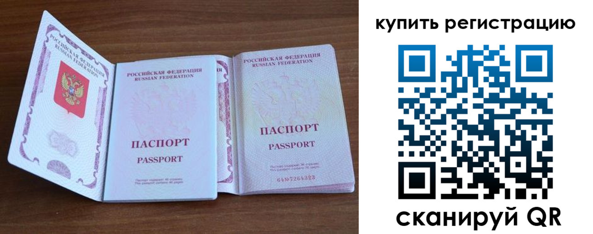 прописка регистрация в Курской области